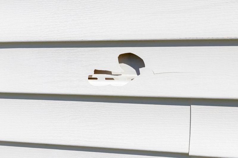 Vinyl Siding Patch Repair